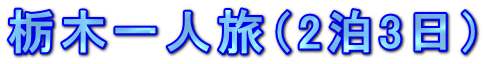 栃木一人旅(2泊3日)