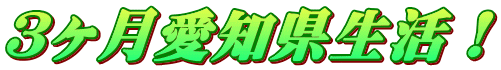 3ヶ月愛知県生活!
