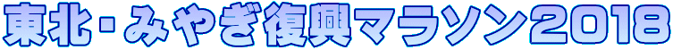 東北・みやぎ復興マラソン2018